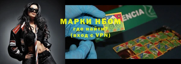 дживик Богородск