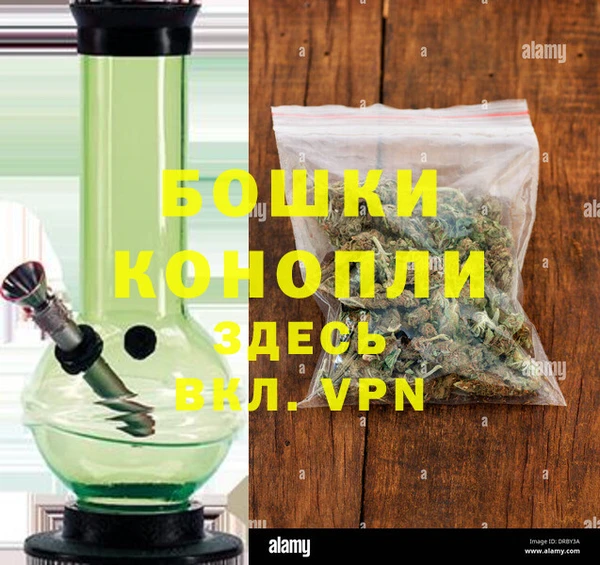 дживик Богородск