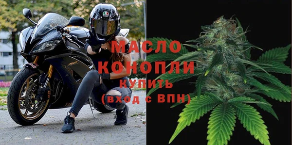 дживик Богородск