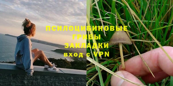 дживик Богородск