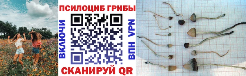 Галлюциногенные грибы прущие грибы  цена   Вытегра 